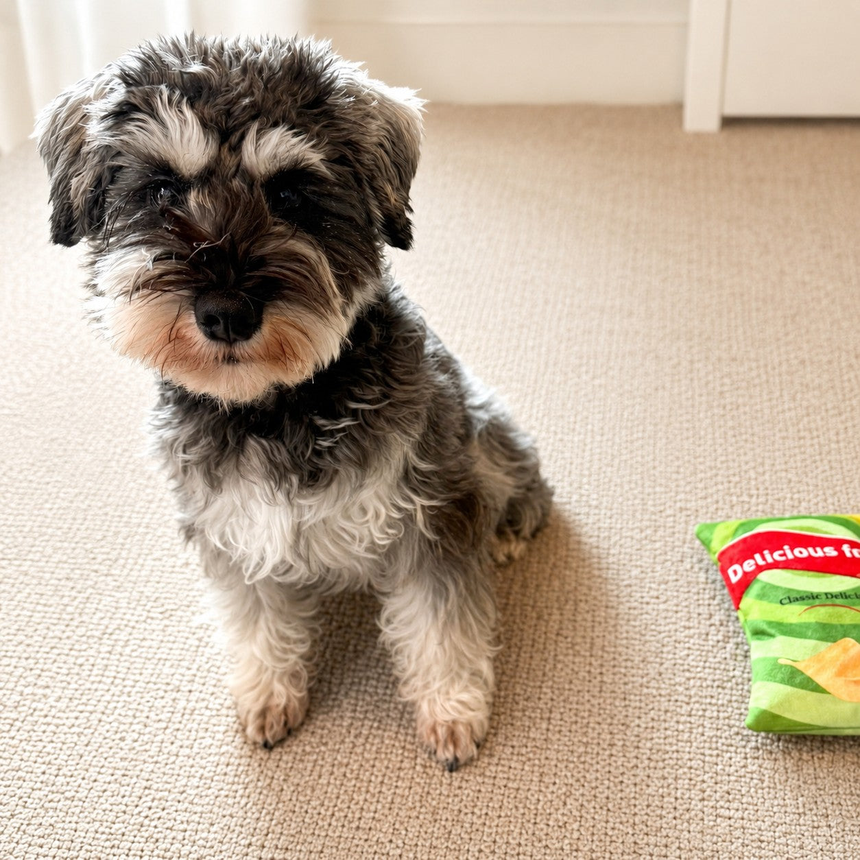 Squeaky Chip Packet Toy