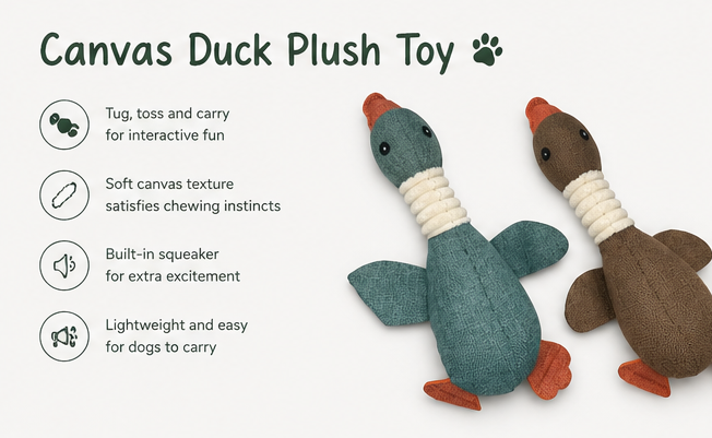 Canvas Duck Toy