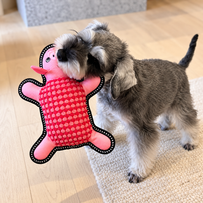 Joopy playing with the pink pig plush dog toy at home