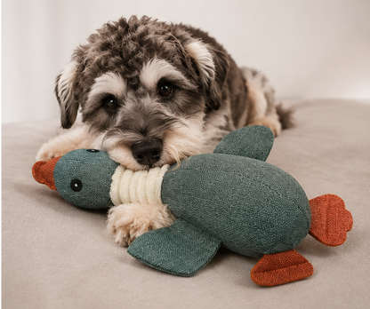 Canvas Duck Toy