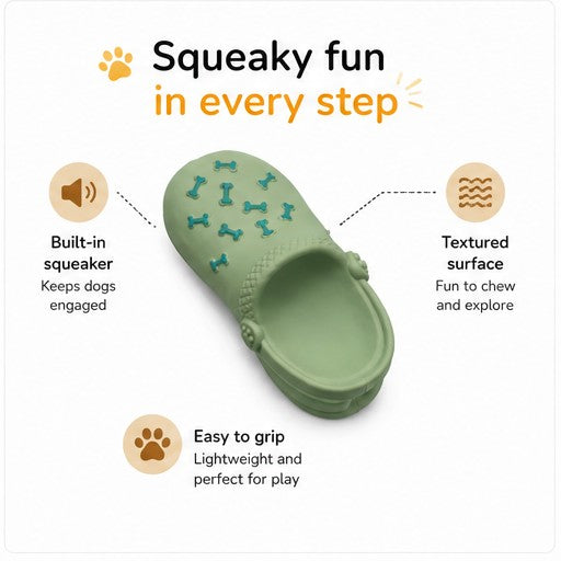 Squeaky Slipper Toy